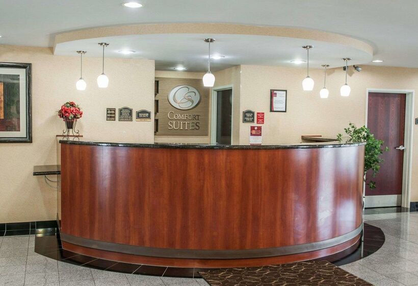 ホテル Comfort Suites Near Indianapolis Airport