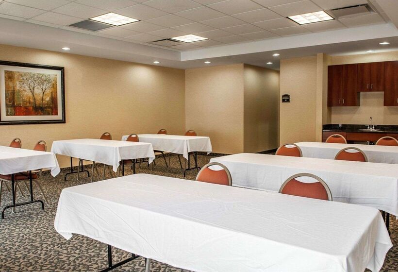 ホテル Comfort Suites Near Indianapolis Airport