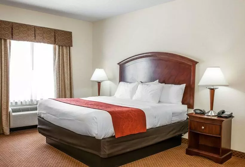 酒店 Comfort Suites Near Indianapolis Airport
