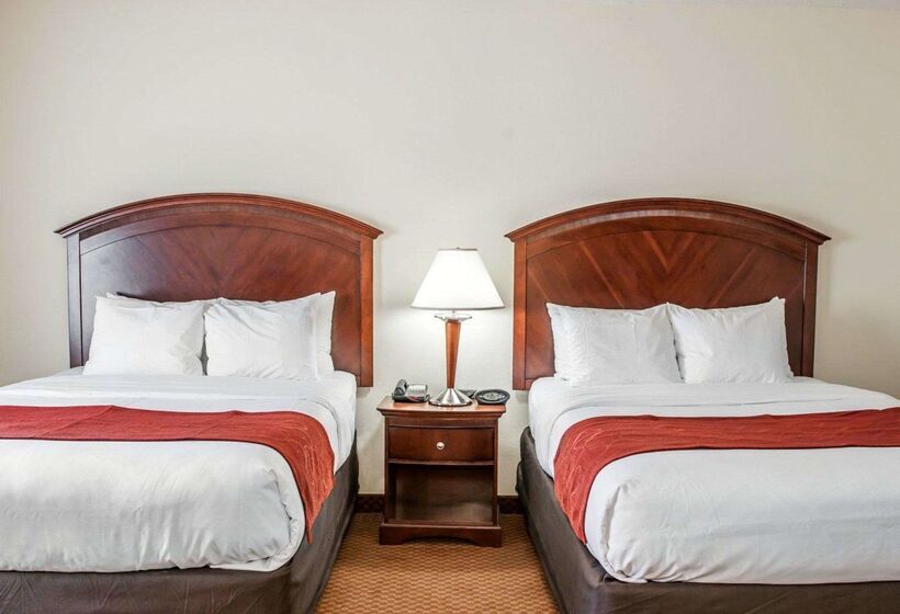 ホテル Comfort Suites Near Indianapolis Airport