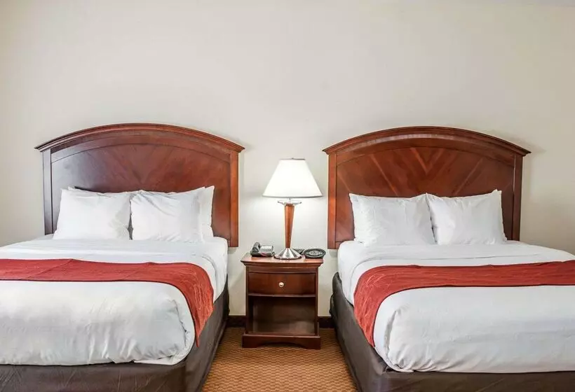 酒店 Comfort Suites Near Indianapolis Airport