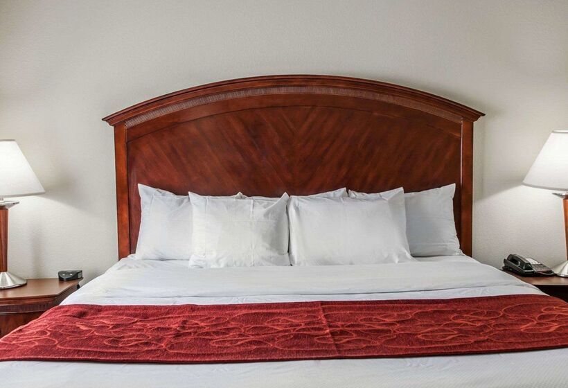 ホテル Comfort Suites Near Indianapolis Airport