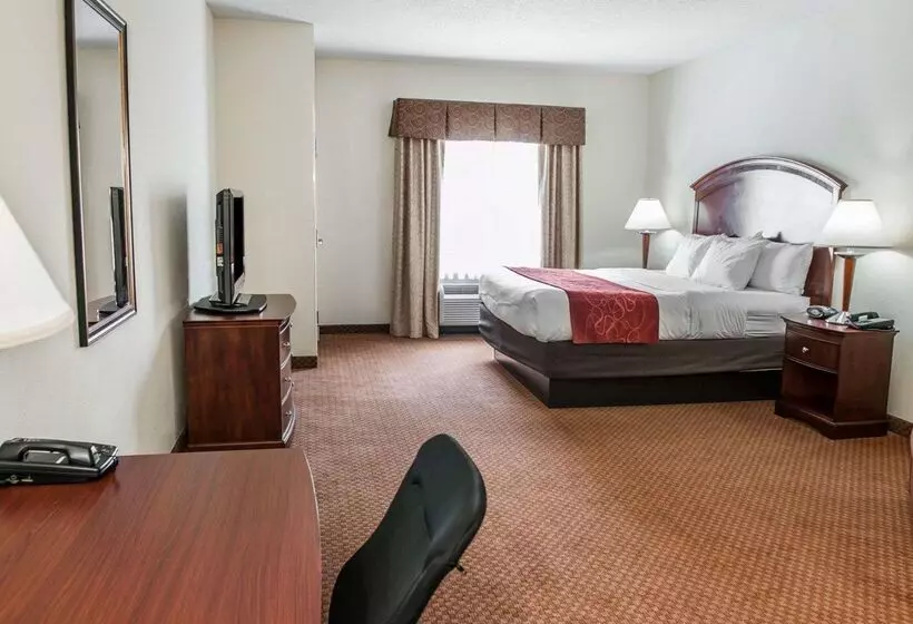 酒店 Comfort Suites Near Indianapolis Airport