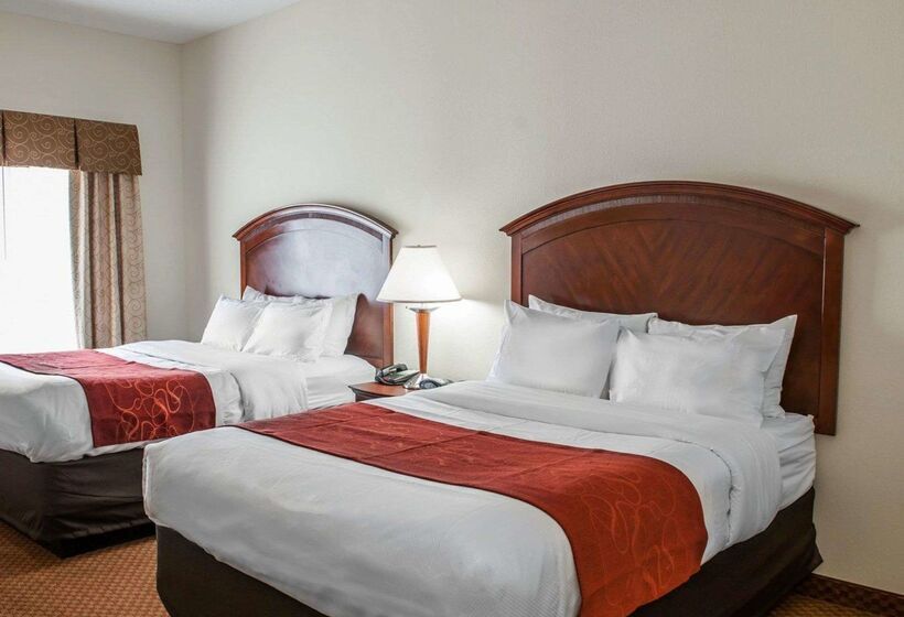 ホテル Comfort Suites Near Indianapolis Airport