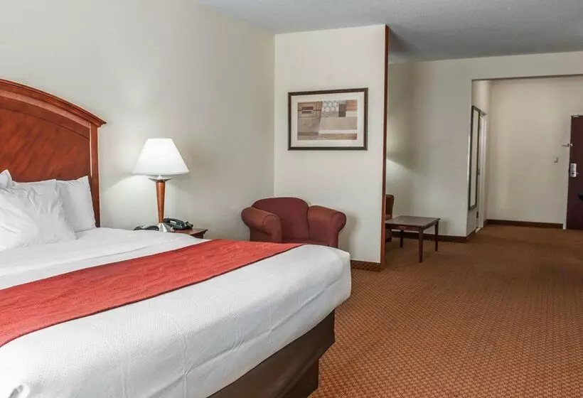 酒店 Comfort Suites Near Indianapolis Airport