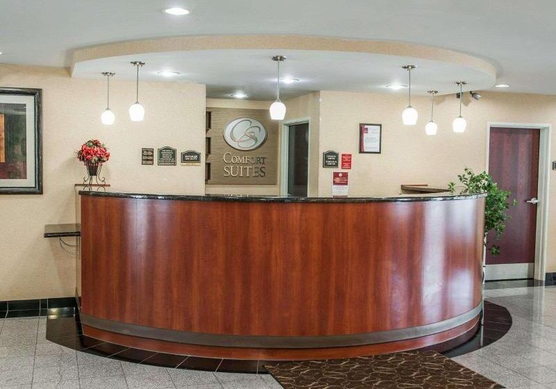 ホテル Comfort Suites Near Indianapolis Airport
