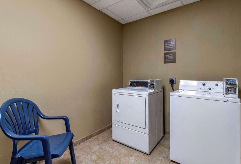 ホテル Comfort Suites Near Texas A&m Corpus Christi