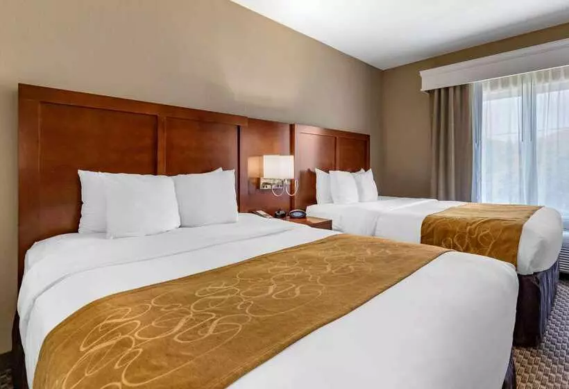 ホテル Comfort Suites Near Texas A&m   Corpus Christi