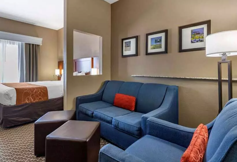 ホテル Comfort Suites Near Texas A&m   Corpus Christi