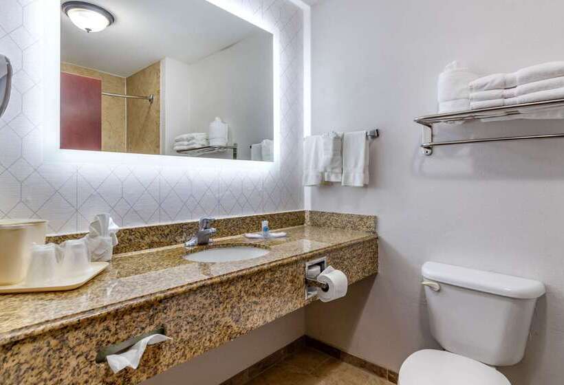 ホテル Comfort Suites Near Texas A&m Corpus Christi