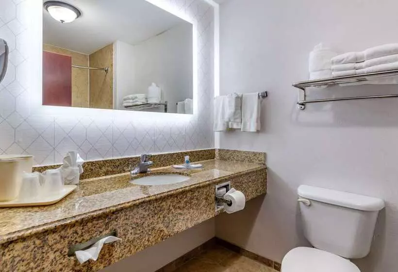 ホテル Comfort Suites Near Texas A&m   Corpus Christi