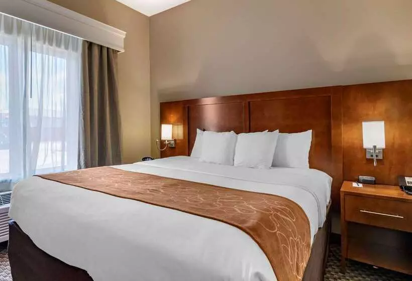 ホテル Comfort Suites Near Texas A&m   Corpus Christi