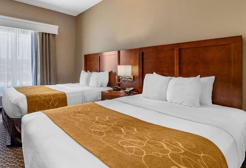 ホテル Comfort Suites Near Texas A&m Corpus Christi