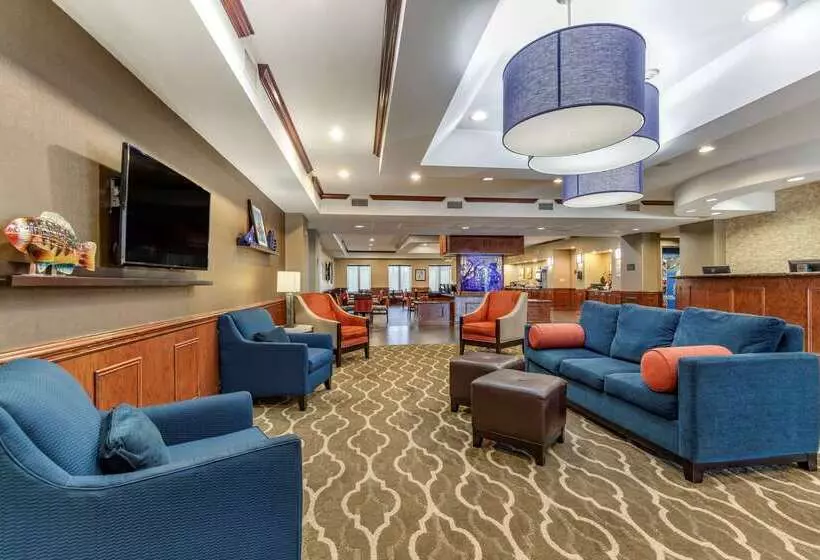 ホテル Comfort Suites Near Texas A&m   Corpus Christi