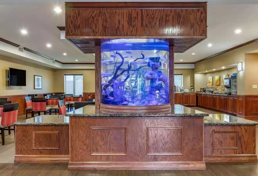 ホテル Comfort Suites Near Texas A&m   Corpus Christi