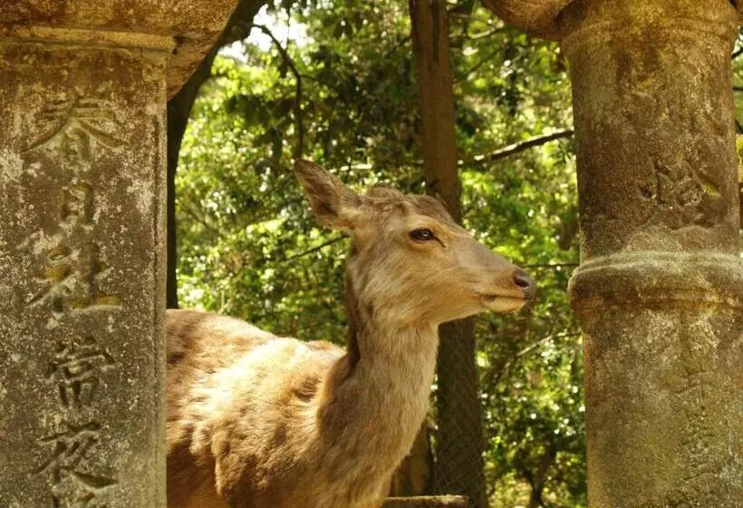ホテル Guesthouse Nara Komachi
