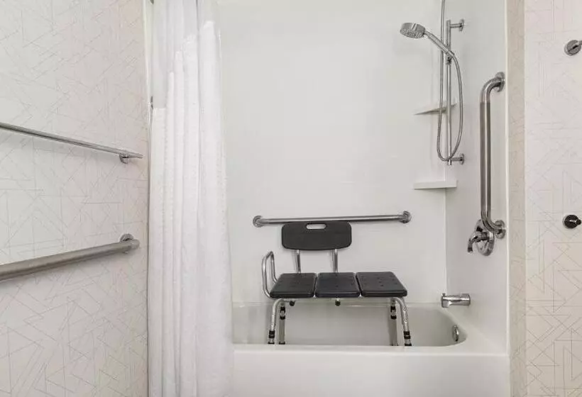 Hotel Holiday Inn Express & Suites Greenville Downtown, An Ihg