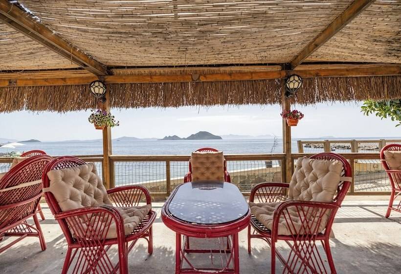 فندق MaxSea Beach