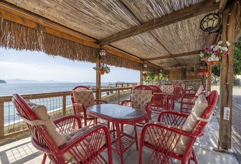 فندق MaxSea Beach