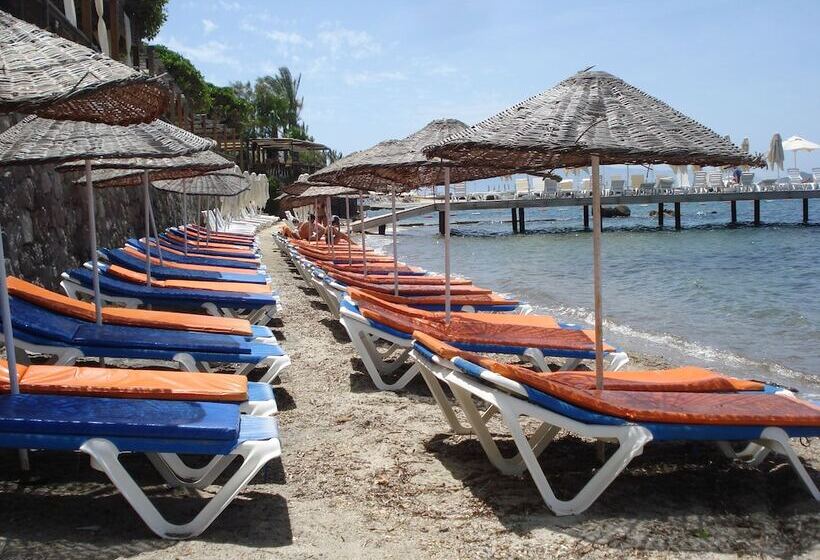 فندق MaxSea Beach