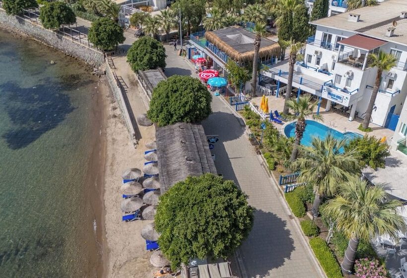 فندق MaxSea Beach