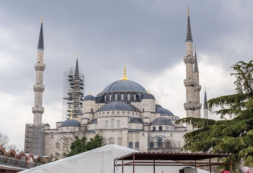 Seraglio Hotel & Suites