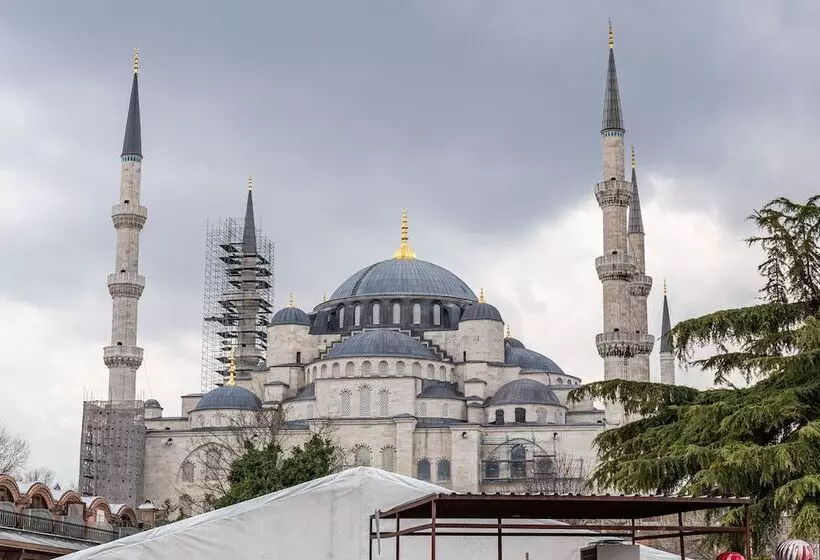 Seraglio Hotel & Suites