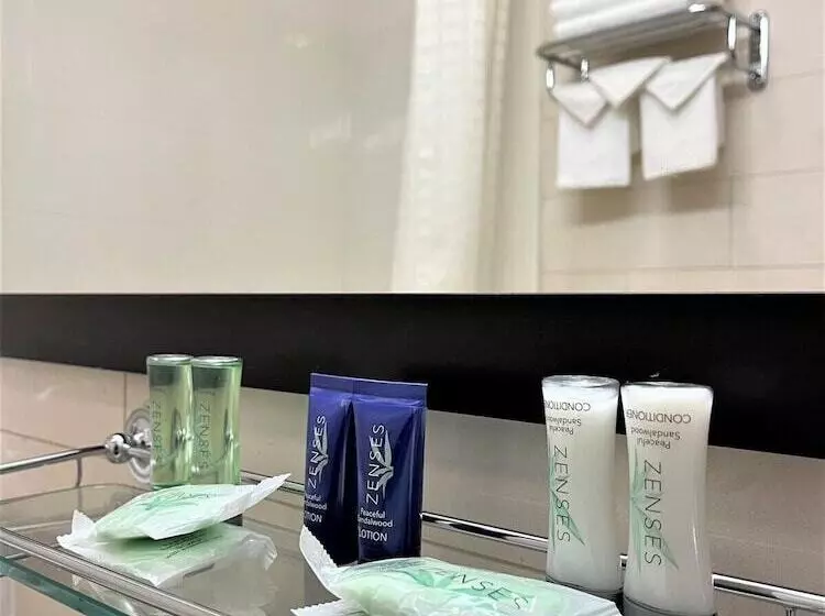 Отель Sleep Inn Long Island City Manhattan View