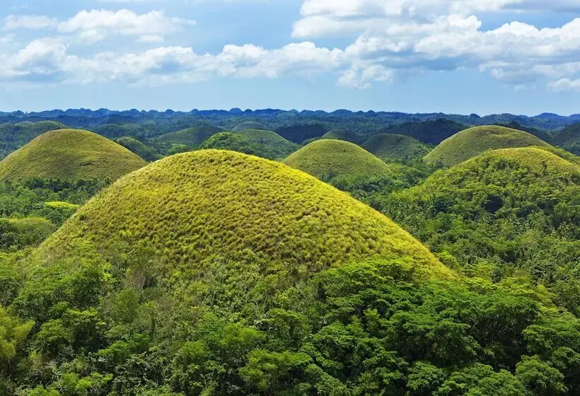 호텔 The Peacock Garden