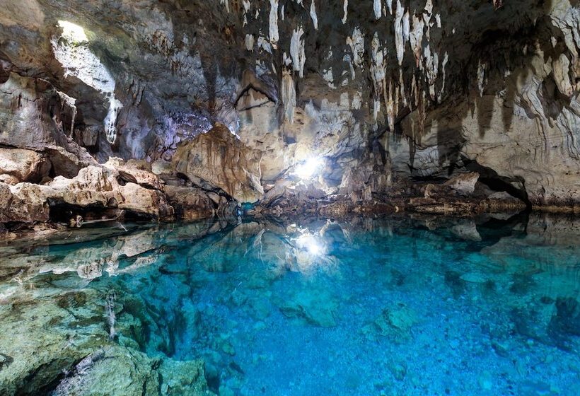 酒店 The Peacock Garden