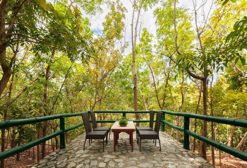 酒店 The Peacock Garden