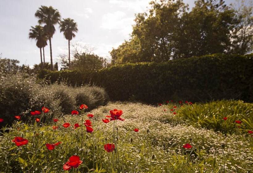 Aumallia Hotel & Spa