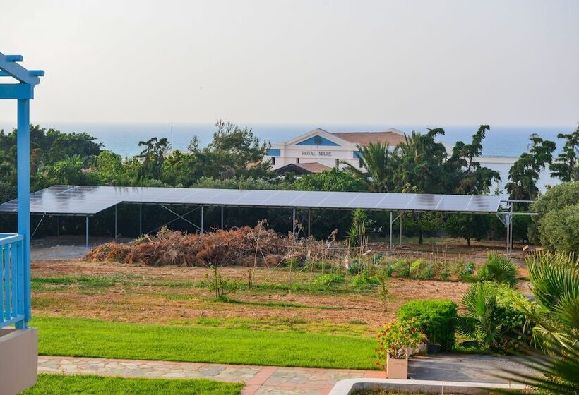 فندق Golden Dream Apartments