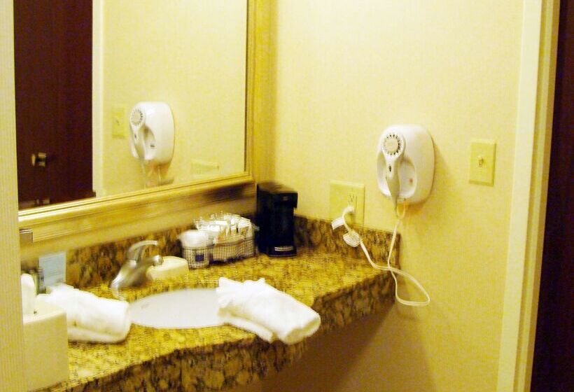 Szálloda Hampton Inn Calera