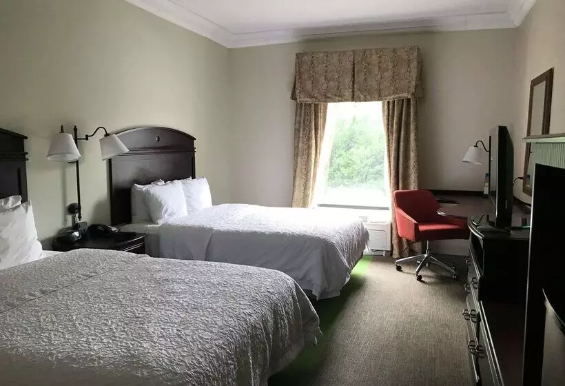 Отель Hampton Inn Vidalia