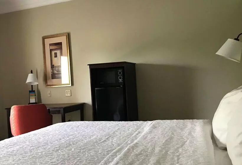 Отель Hampton Inn Vidalia