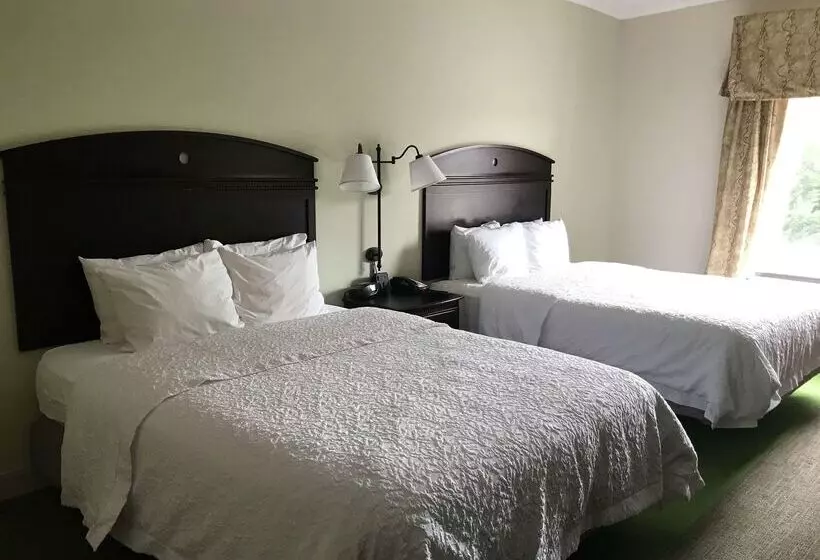 Отель Hampton Inn Vidalia