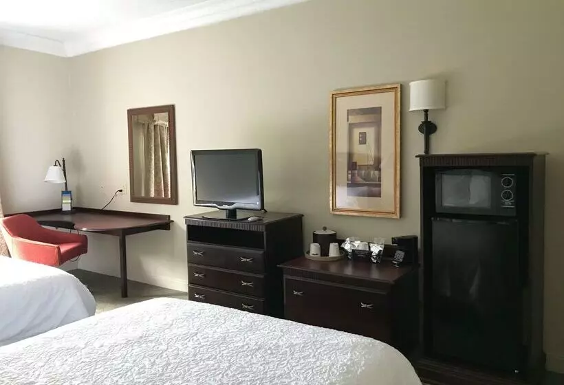 Отель Hampton Inn Vidalia