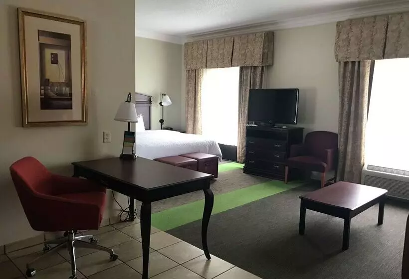 Отель Hampton Inn Vidalia