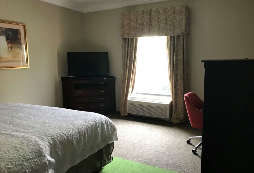 酒店 Hampton Inn Vidalia