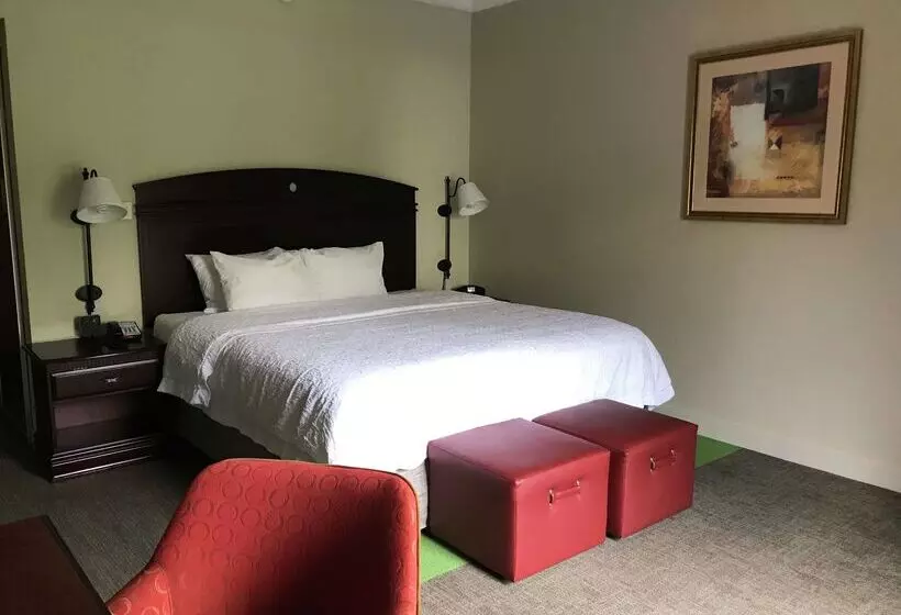 Отель Hampton Inn Vidalia