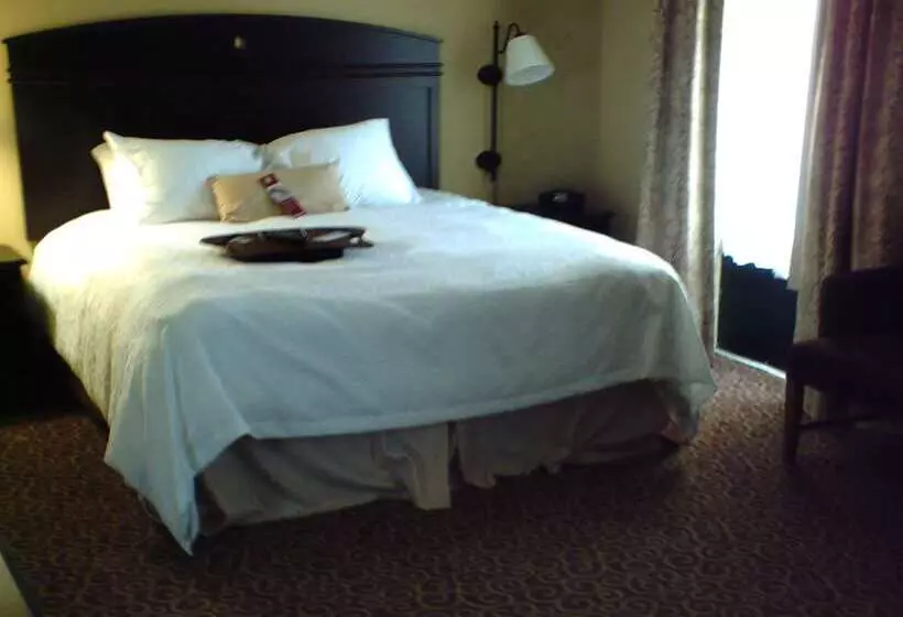 Отель Hampton Inn Vidalia