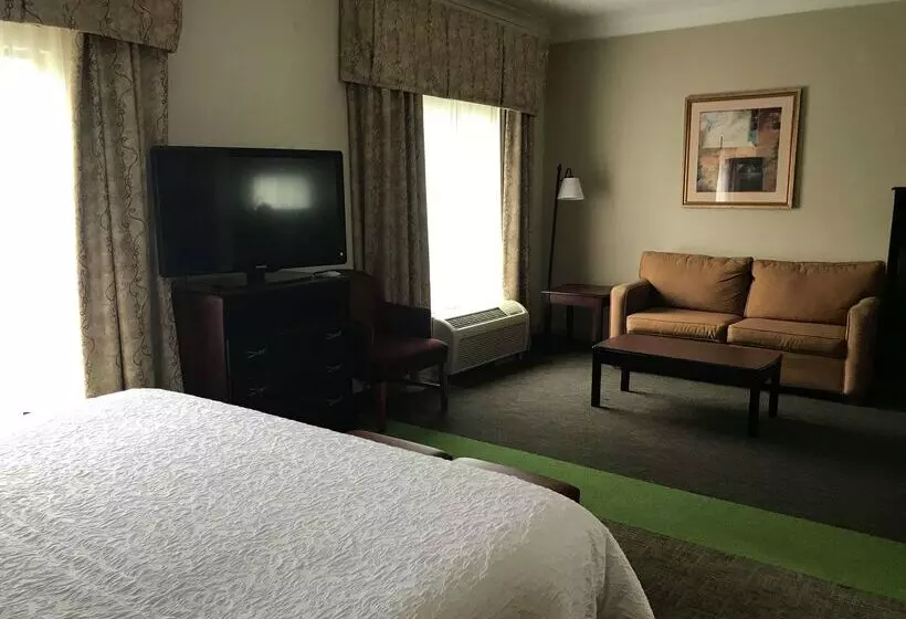 Отель Hampton Inn Vidalia