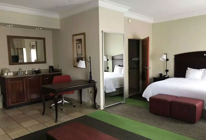 Отель Hampton Inn Vidalia