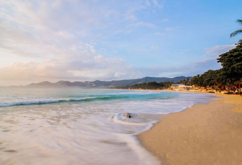 هتل Chaweng Garden Beach Resort Sha Plus