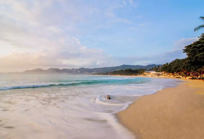 בית מלון כפרי Chaweng Garden Beach Resort Sha Plus