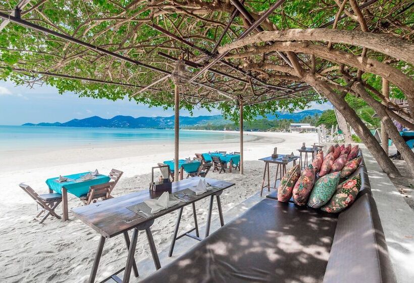 هتل Chaweng Garden Beach Resort Sha Plus