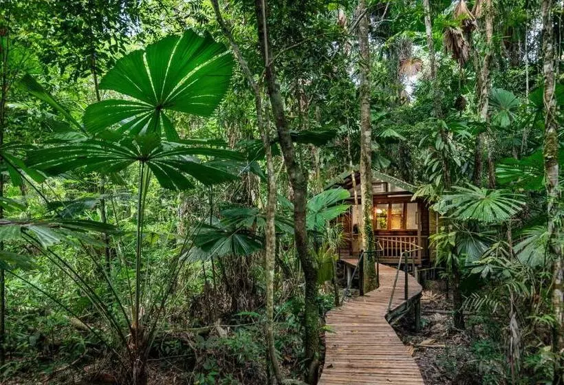 Отель Daintree Wilderness Lodge