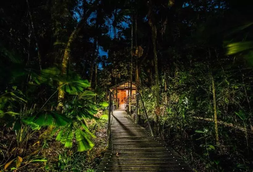 Отель Daintree Wilderness Lodge