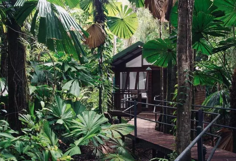 Отель Daintree Wilderness Lodge